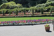 113 - Butchard Gardens  - IMG_1733